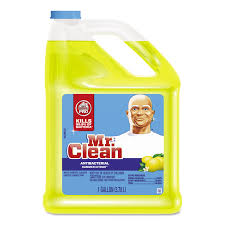 MR CLEAN ALL PURPOSE SUMMER CITRUS GAL