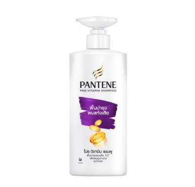 SHAMPOO PANTENE DAMAGE 18OZ W/PUMP