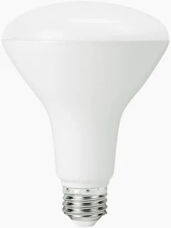 BULB  INDOOR FLOODLIGHT *LED*  BR30 10W 65K 31876