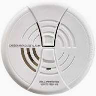 CARBON MONOXIDE DETECTOR BATT CO250B