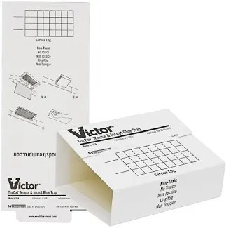 GLUETRAP BOARD MOUSE & INSECT 72 PK
