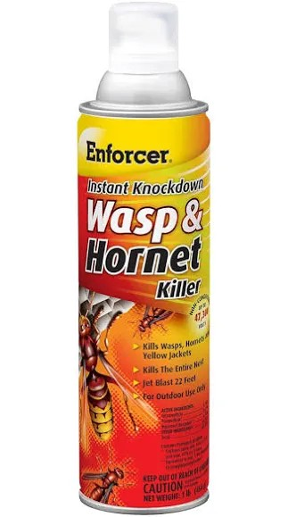 ENFORCER WASP & HORNET KILLER 16OZ SPRAY CAN 0258236