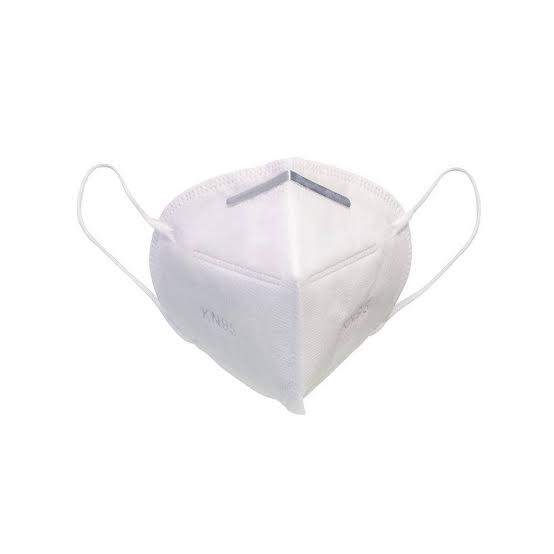 DUST MASK KN95 20/PK