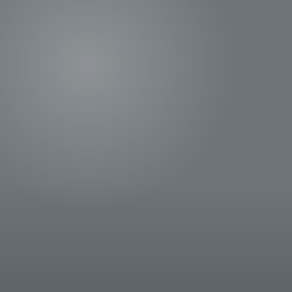 BATTLESHIP GREY PORCH & DECK PARIS DENALT #82415