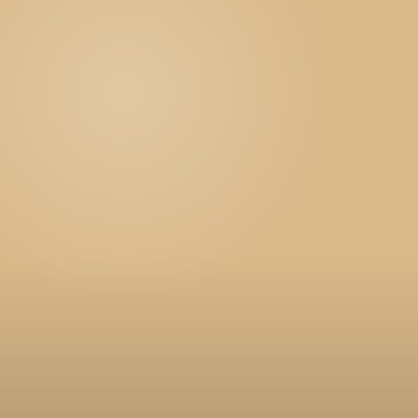 PAINT PORCH & DECK ALKYD BUFF DENALT