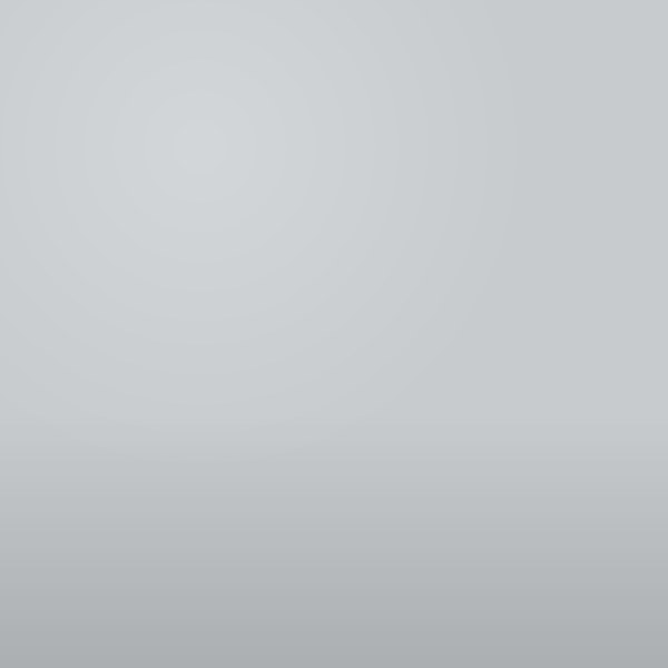 PAINT LIGHT GREY PORCH & DECK PARIS DENALT #82405
