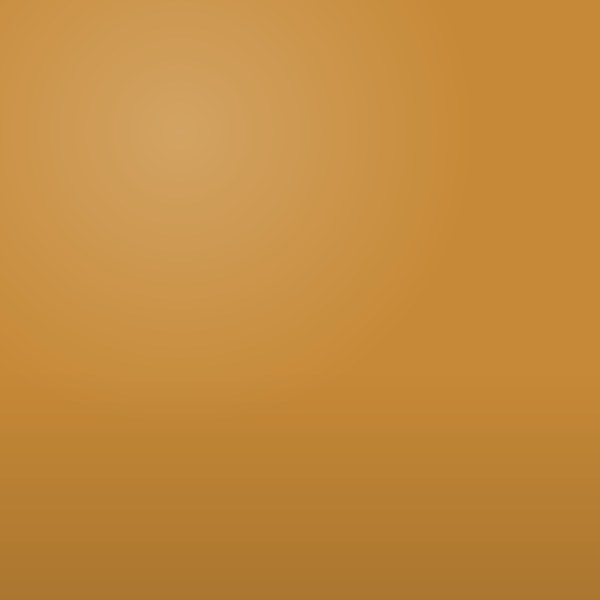 POLYURETHANE HIGH GLOSS DENALT #790