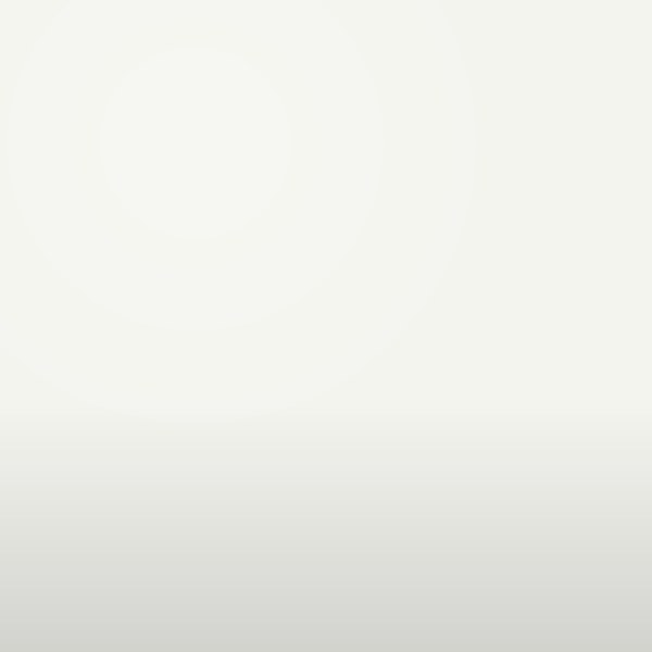 PAINT PORCH & DECK ALKYD WHITE H.G. DENALT #8100